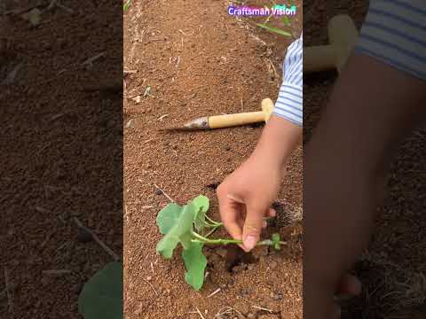 أدوات زراعة شتلات الخضراوات بمسافات وعمق متساويين thumbnail
