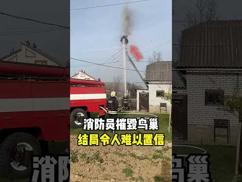 消防员摧毁鸟巢，结局令人难以置信！ #趣闻 #科普 #趣事 #全球看点 thumbnail