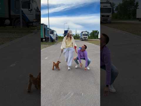 Best friends my dogs 😀❤️ thumbnail