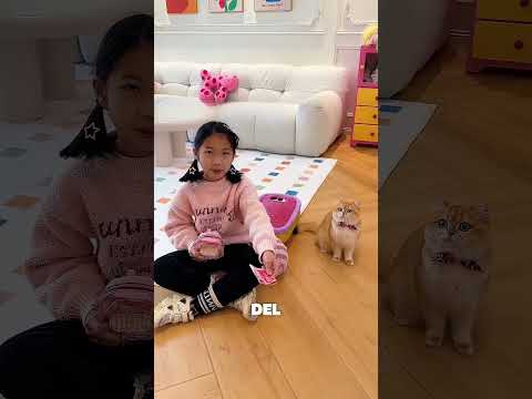 Tuvieron que despedirse del nuevo gato… ¡Es desgarrador! thumbnail