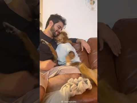 A dog is the only thing on earth that loves you more than they love themselves 🥹❤️ thumbnail