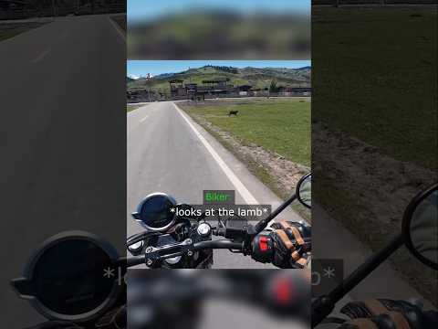 How Lamb Ruined The Biker... thumbnail