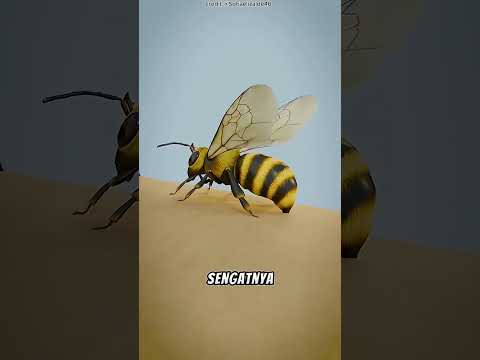 🐝⚠️ Jangan Panik! Ini yang Harus Dilakukan Jika Disengat Lebah 😮 #shortsviral thumbnail