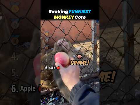 Ranking MONKEYS LOSING THEIR MINDS Core Moments!! ?? thumbnail