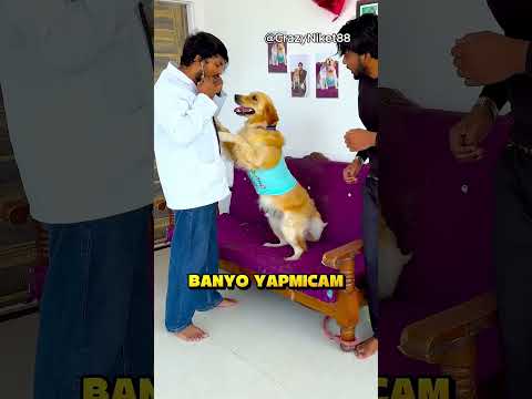 Banyo Yapmamam İçin Eve Doktor Çağırdı.. ❗? (Credit: CrazyNiket88 /YT) thumbnail