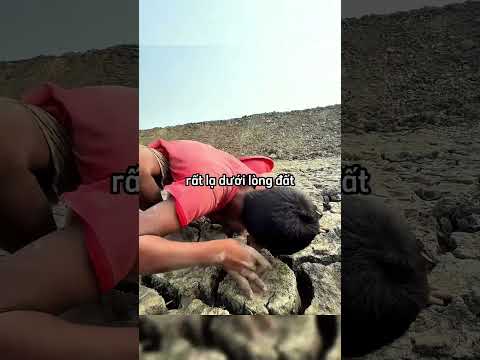 Cậu bé này đã tìm thấy rất nhiều cá ???#shortsvideo thumbnail
