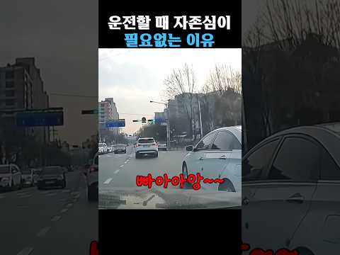 운전할 때 자존심 부리면 안되는 이유 thumbnail