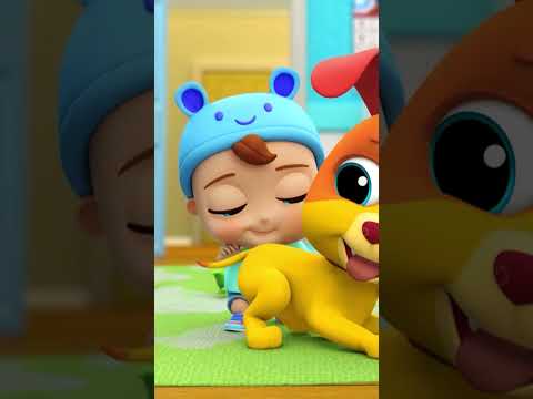 Bebé Juan aprende a jugar con su perrito Bingo 🐶 #BebéJuan #LittleAngelEspañol #Perrito thumbnail