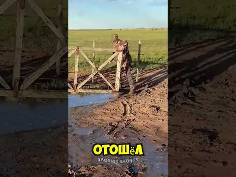 Солдат не сдался и закрыл ворота! 😳 thumbnail