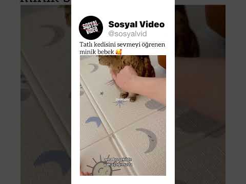 Tatlı kedisini sevmeyi öğrenen minik bebek ? thumbnail