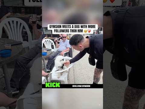 The dog is more famous than GYMSKIN ?? thumbnail