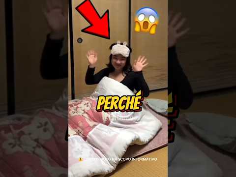 PERCHÉ I GIAPPONESI DORMONO SUL PAVIMENTO? 😱 #curiosità #informative thumbnail