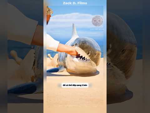 Hãy cẩn thận với những con cá mập trên bãi cát #shorts #facts thumbnail