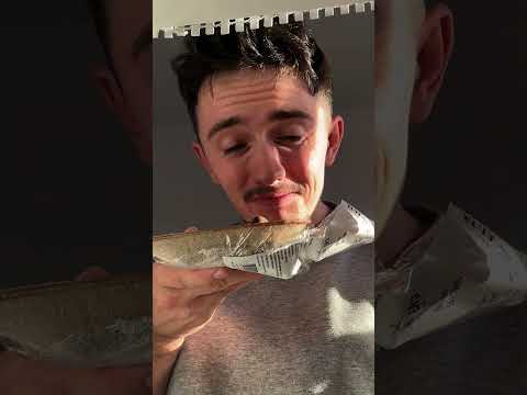 Filling My Pet Seagull Up With Sardines!! thumbnail