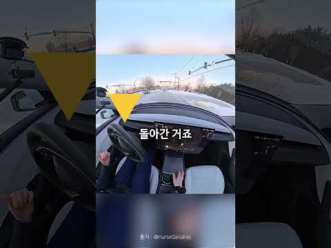 멀쩡하던 테슬라의 핸들이 제멋대로 움직인 이유 thumbnail