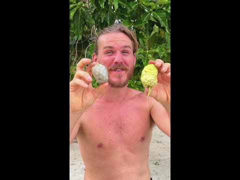 Weird Fruit Level: 1000 thumbnail