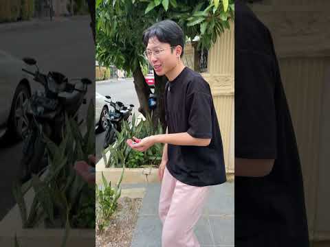 Adek tanam permen thumbnail