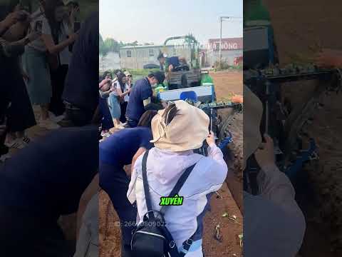 Cả làng kéo đến xem cách trồng khoai lang hiện đại này thumbnail