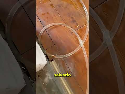 Su Pez Dorado Favorito Se Atascó En La Tubería ? thumbnail