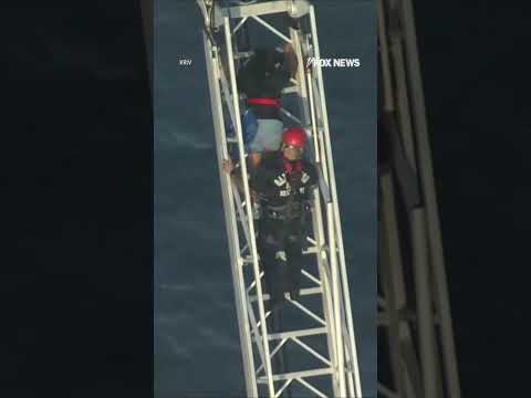 Roller coaster riders rescued after ride STALLS 100 feet above ground #shorts #rollercoaster #us thumbnail