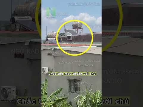 Chắc thợ mâu thuẫn với chủ thumbnail