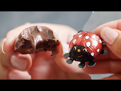 I love eating chocolates 😍 #shorts thumbnail