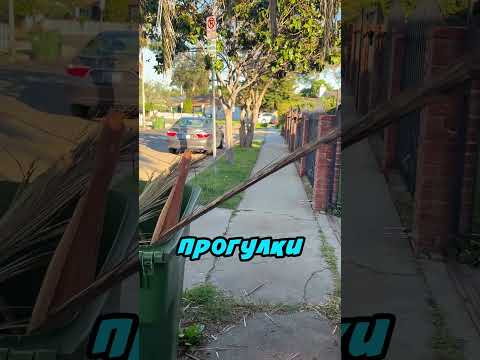 Будьте внимательнее ? thumbnail