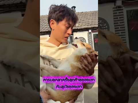 His final goodbye to his dog. thumbnail