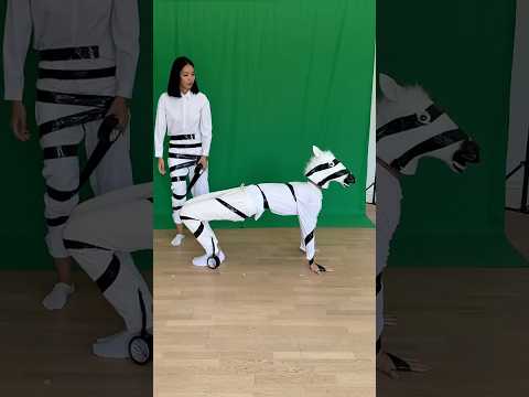 Fast Zebra Transformation challenge 😂🦓 thumbnail