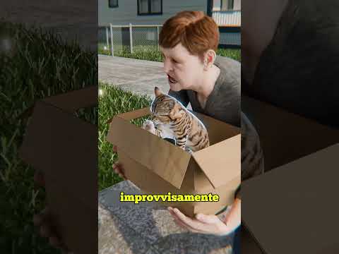 LA STORIA DEL CANE CHE HA SALVATO UN GATTINO DA UN'AQUILA thumbnail