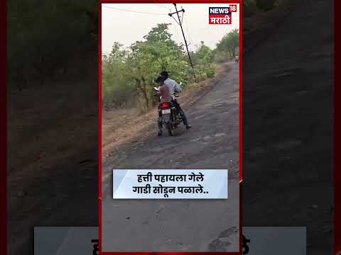 Gadchiroli News | फोटो काढायला गेले अन् हत्ती धावला! दुचाकी टाकून लोकांची पळापळ | N18S thumbnail