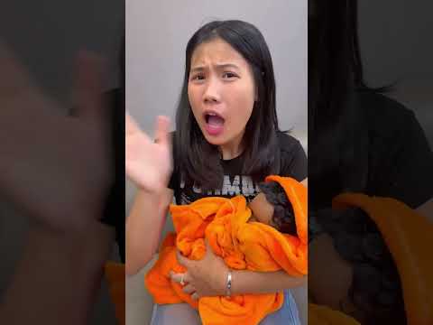 SH - Đừng làm ồn khi em bé đang ngủ #shorts thumbnail