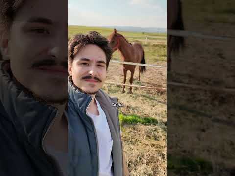 Atımızın İsmini Seçin thumbnail