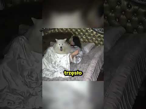 Wielka imba pod łóżkiem tej właścicielki! thumbnail