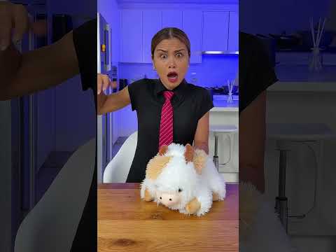Kitten Got The Message 🐱😂 thumbnail