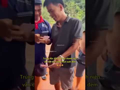 Trúng độc đắc 12 tỉ mà thanh niên vẫn cắt sầu riêng thuê suốt đêm 😍 #mayman #xsmn #tintuc #shorts thumbnail