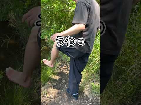 池の化け物を網ですくってみたら… thumbnail