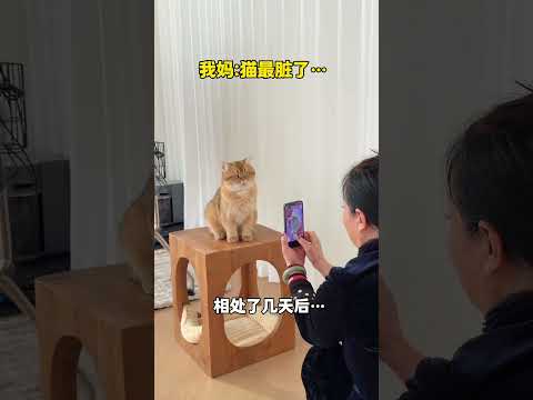 【牛奶是只猫】我妈：猫最脏了！ thumbnail