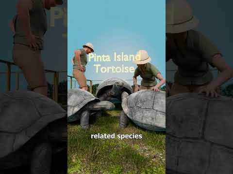 Why This Species Could Not Be Saved 😢 thumbnail