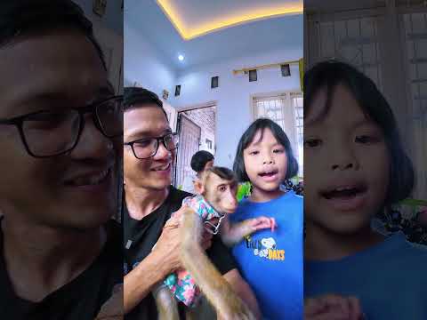 Suara merdu Restu nyanyi buat Cia🤭🤗 #shortvideo #short #monkey #monyet #animals thumbnail