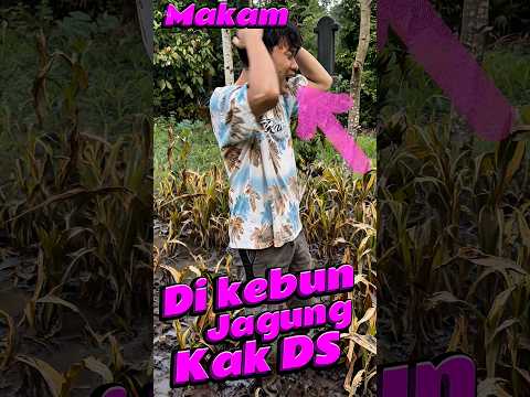 Makam di Kebun jagung kak DS #comedy #minivlog #anakdesa #makam #kebun thumbnail