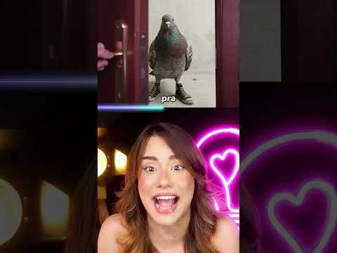 o POMBO CORREIO é uma MENTIRA thumbnail