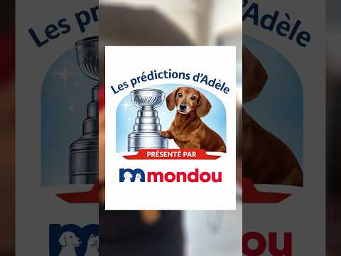 ADÈLE VA-T-ELLE RAMENER LE CH VERS LE DROIT CHEMIN?! ?? thumbnail