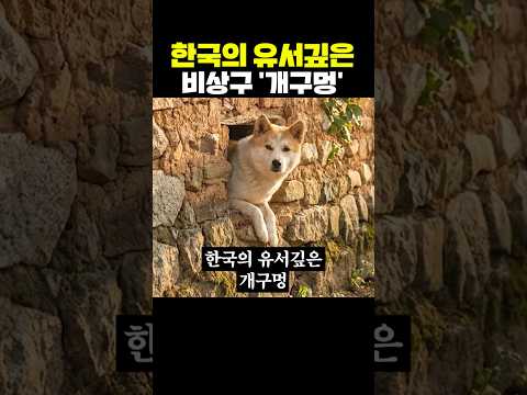 한국의 유서깊은 비상구 '개구멍' thumbnail