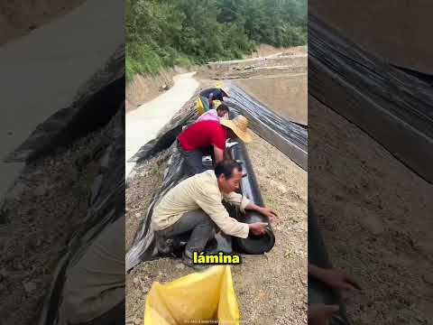 Rompieron El Récord Mundial De La Piscina Más Grande Del Mundo 😱 thumbnail