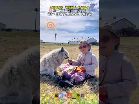 萌娃和狗子分享零食，你一口我一口，可爱又治愈 thumbnail