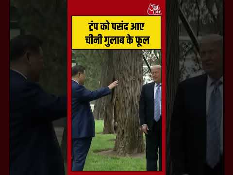 Beijing: Donald Trump को पसंद आए चीनी गुलाब के फूल! #china #Beijing #trump #shorts #aajtak thumbnail