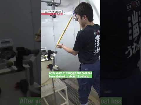 World’s first fully farmed eels hit Japanese storesーNHK WORLD-JAPAN NEWS #shorts thumbnail