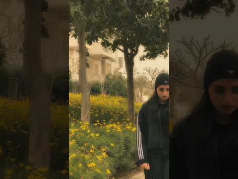 ايوا انت راجل بالكلام thumbnail