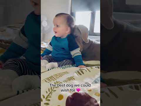 #baby thumbnail